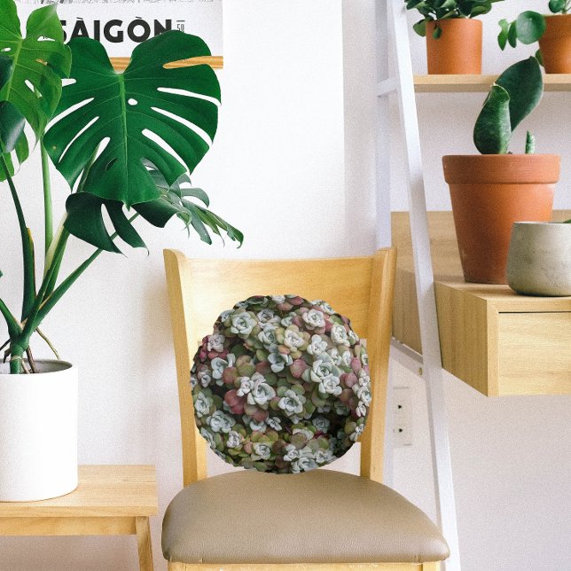 Sedum spathulifolium Succulents Floral Rond Kussen (In Situ Chair)