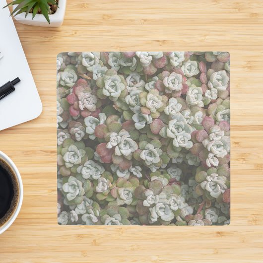 Sedum spathulifolium Succulents Floral Stenen Onderzetter