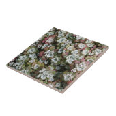 Sedum spathulifolium Succulents Floral Tegeltje (Zijkant)