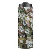 Sedum spathulifolium Succulents Floral Thermosbeker (Voorkant)