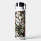 Sedum spathulifolium Succulents Floral Waterfles (Achterkant)