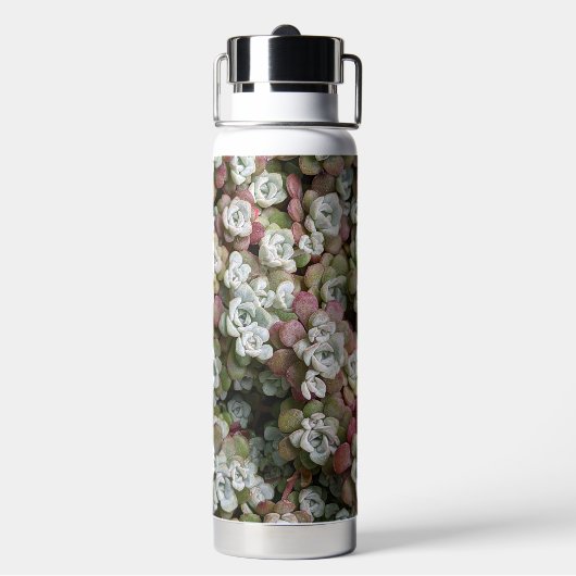 Sedum spathulifolium Succulents Floral Waterfles (Achterkant)