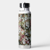 Sedum spathulifolium Succulents Floral Waterfles (Rechts)