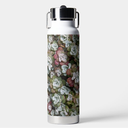 Sedum spathulifolium Succulents Floral Waterfles (Voorkant)