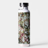 Sedum spathulifolium Succulents Floral Waterfles (Rechts)