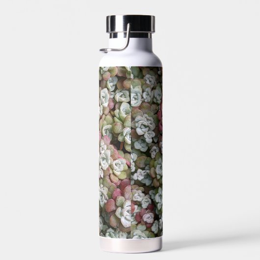 Sedum spathulifolium Succulents Floral Waterfles (Rechts)