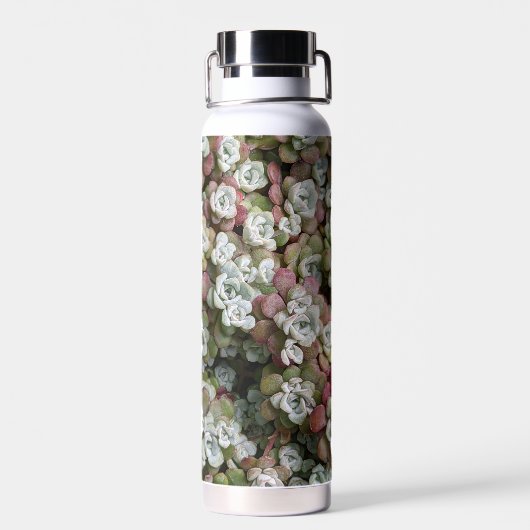 Sedum spathulifolium Succulents Floral Waterfles (Achterkant)