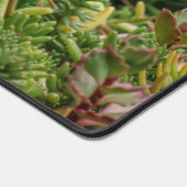 Sedum vetplanten met witte bloesems bureaumat (Hoek)