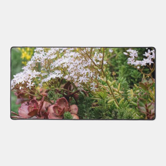 Sedum vetplanten met witte bloesems bureaumat (Voorkant)