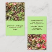 sedum visitekaartje (Voorkant / Achterkant)