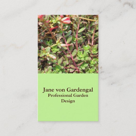 sedum visitekaartje (Voorkant)