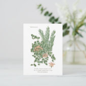 Sedumsoorten Briefkaart (Staand voorkant)