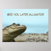 See You Later Alligator Poster (Voorkant)