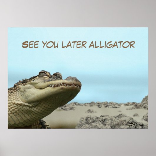 See You Later Alligator Poster (Voorkant)