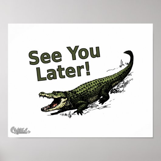 See You Later Alligator Poster (Voorkant)