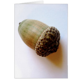 Seed Acorn-kaart