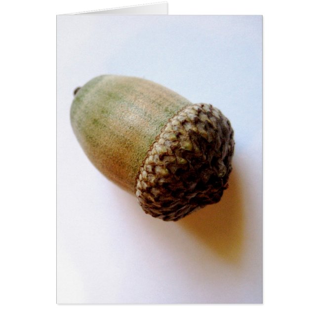 Seed Acorn-kaart (Voorkant)