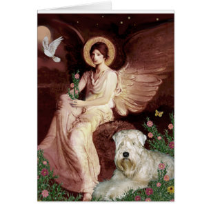 Seed Angel - Wheaten Terrier 1