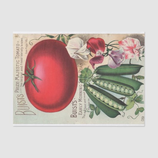  Seed Catalog Buist's Company Tissuepapier (Voorkant)