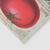  Seed Catalog Buist's Company Tissuepapier (Detail)