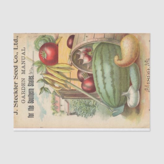  Seed Catalog Steckler Seed Company, 1899 Tissuepapier (Voorkant)