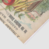  Seed Catalog Steckler Seed Company, 1899 Tissuepapier (Detail)