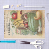  Seed Catalog Steckler Seed Company, 1899 Tissuepapier (Craft)