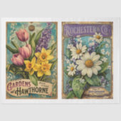 Seed Catoloque x 2 design Tissuepapier (Voorkant)