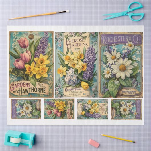  Seed Catoloque x 3 Tissuepapier (Craft)