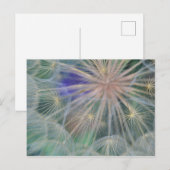Seed Head Design | Gennesse, Idaho Briefkaart (Voorkant / Achterkant)