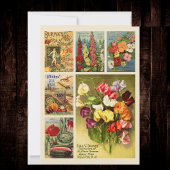 Seed Packet Catalog Collage  Flower Boerderij Notitiekaartje
