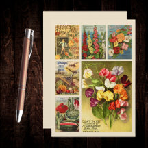 Seed Packet Catalog Collage  Flower Boerderij