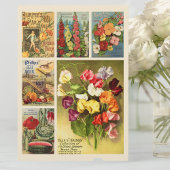 Seed Packet Catalog Collage  Flower Boerderij Notitiekaartje