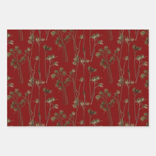 Seed Pods on a Wrapping Paper Set (Voorkant)