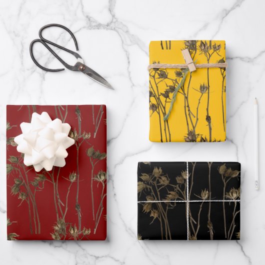 Seed Pods on a Wrapping Paper Set  (Voorkant)