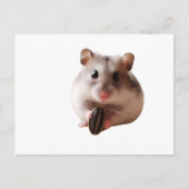 Seeds & Hamsters Briefkaart (Voorkant)