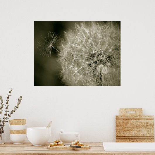 Seedy Dandelion Poster (Keuken)