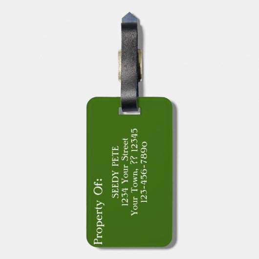 Seedy Pete Skull Odd Whimsical Monster Art Quirky Bagagelabel (Achterkant verticaal)