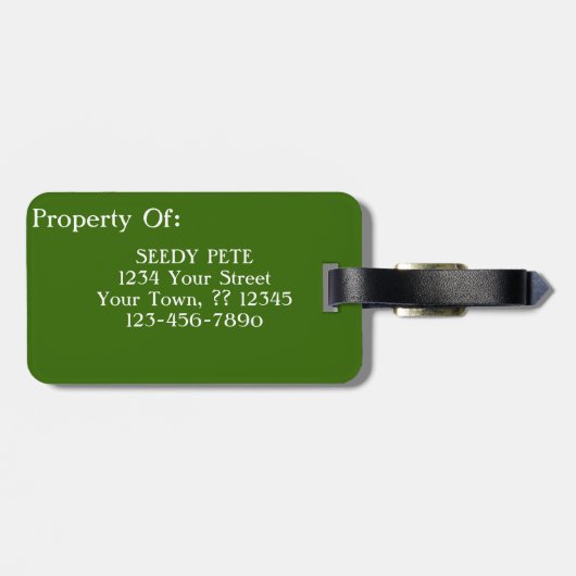Seedy Pete Skull Odd Whimsical Monster Art Quirky Bagagelabel (Achterkant horizontaal)