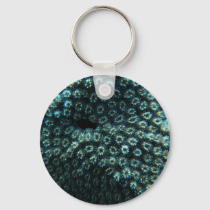 Seepocken Sleutelhanger