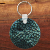 Seepocken Sleutelhanger (Voorkant)