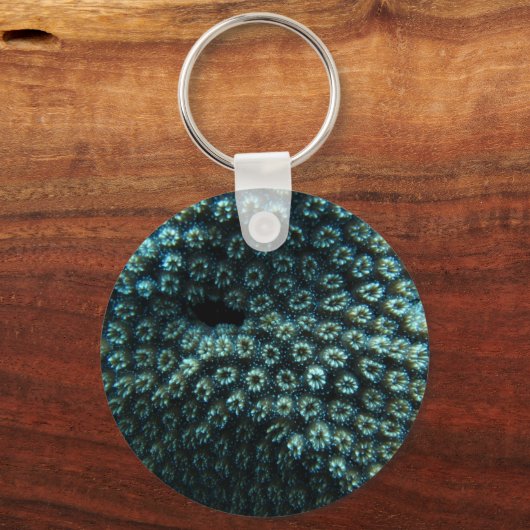 Seepocken Sleutelhanger (Voorkant)