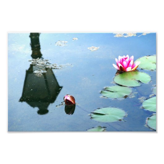 Seerose mit Reflexion der Laterne Foto Afdruk (Voorkant)