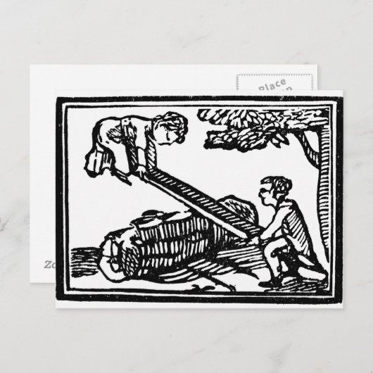 Seesaw Briefkaart (Voorkant / Achterkant)