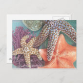 SEESTARS BRIEFKAART (Voorkant / Achterkant)