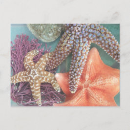 SEESTARS BRIEFKAART