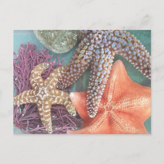 SEESTARS BRIEFKAART (Voorkant)