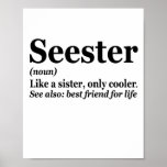 Seester Noun Definition Best Sister Funny Gift Poster<br><div class="desc">sister, seester, definitie, familie, bigsis, gift, birthday, funny, sarcastic, gift;</div>