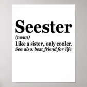 Seester Noun Definition Best Sister Funny Gift Poster (Voorkant)