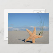 Seestern am Strand Briefkaart (Voorkant / Achterkant)